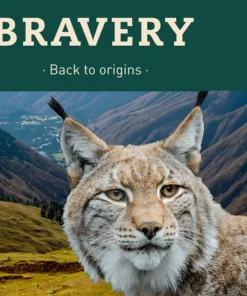 Alternative view of Bravery Gato Esterilizado - Salmon 7 kg
