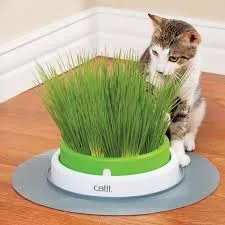 Catit Senses 2.0 Germinador de Pasto