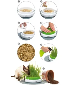Alternative view of Catit Senses 2.0 Germinador de Pasto