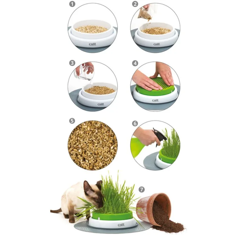 Catit Senses 2.0 Germinador de Pasto - Imagen 2