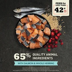 Alternative view of ACANA Bountiful Catch - Gato 4,5 kg