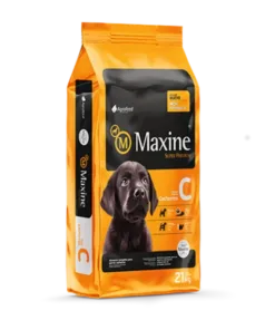 Maxine Cachorro 21 kg