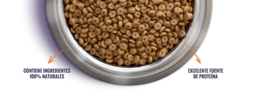 Nomade Gato Adulto 10kg - Imagen 2