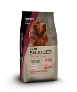 Balanced - Natural Recipe Cerdo 15 kg