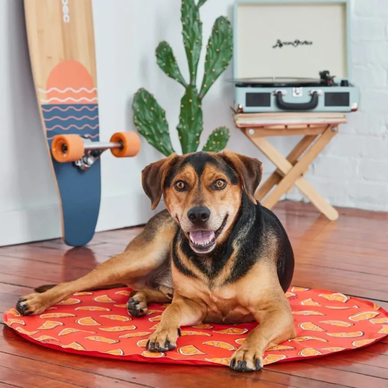GF Pet Ice Mat Naranja L/XL - Imagen 2