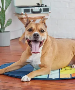 Alternative view of GF Pet Ice Mat Azul  L/XL