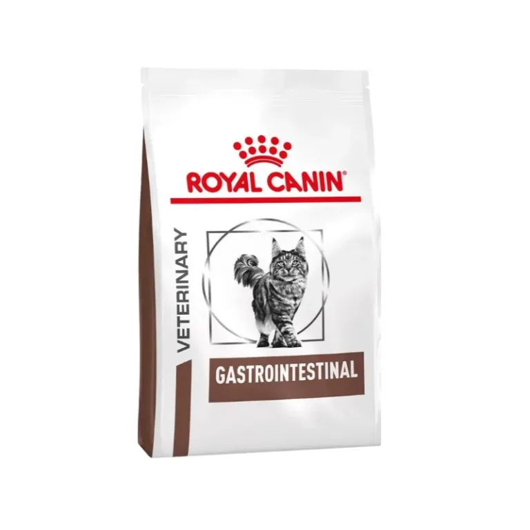 Gastrointestinal Gato Royal Canin 2 kg